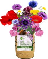 Superwaste-Kweektuintje- bijenbloemen vlinderbloemen-moestuin-stadstuin-bijen-vlinders-duurzaam-eco systeem-verjaardag-cadeau-moederdag-vaderdag-valentijn-fairtrade-duurzaam-ecologisch