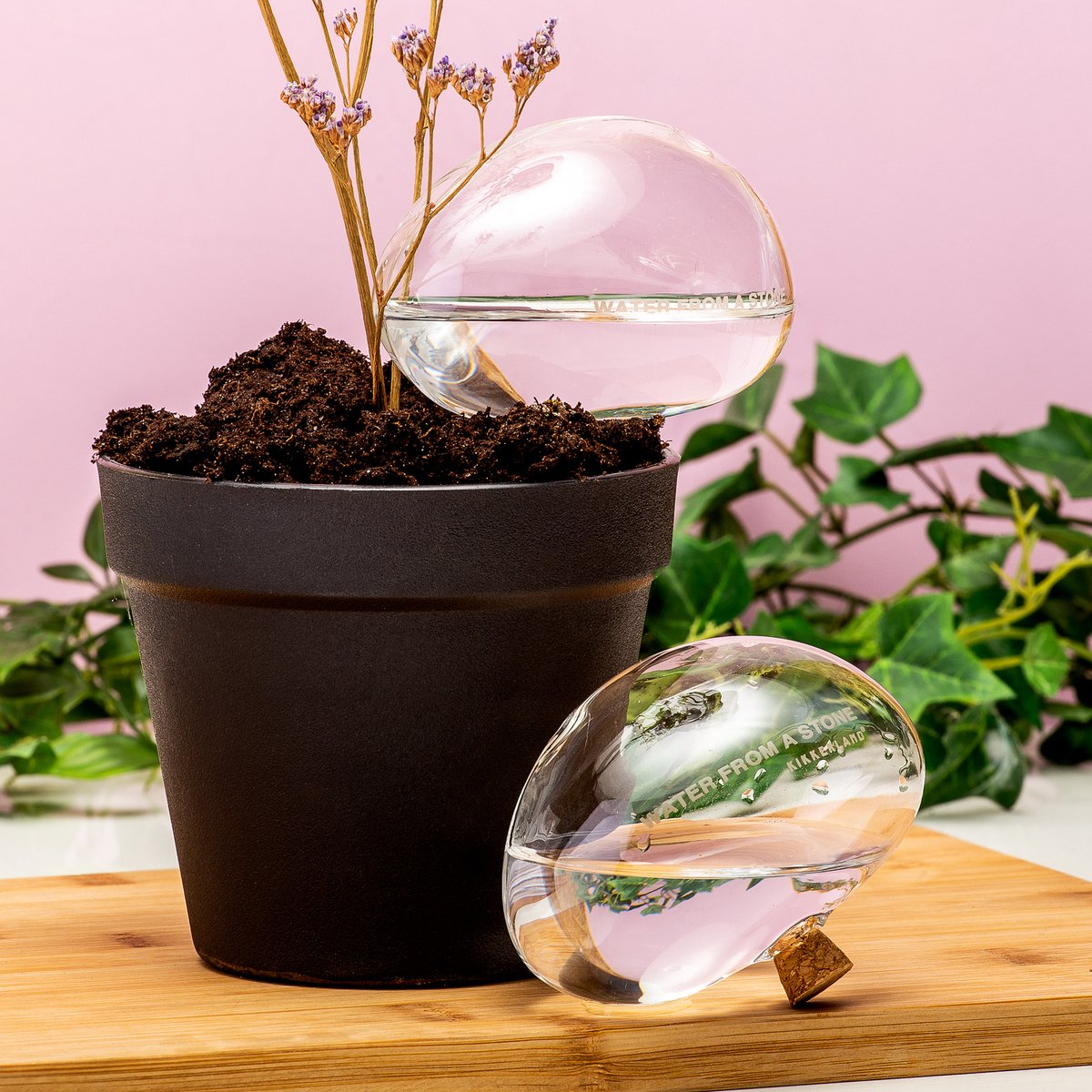 Kikkerland Druppelaar Plant bewateringssysteem - 2 stuks - Watergeefsysteem - Automatische Gieter - Water druppelaar - Druppelsysteem - Bewateringssysteem - Druppel systeem - Water geef systeem - Plantenbol