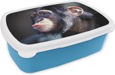 Broodtrommel Blauw - Lunchbox - Brooddoos - Chimpansee aap op vervaagde achtergrond - 18x12x6 cm - Kinderen - Jongen