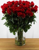 Red Eagle Rozen - Rode rozen - 100 stuks - 70 centimeter lang - Vers van kweker