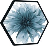 Akoestische panelen - Geluidsisolatie - Akoestische wandpanelen - Akoestisch schilderij AcousticHexagon® - paneel met blauwe bloem - design 239 - 140cm - zwart - Wanddecoratie - wo