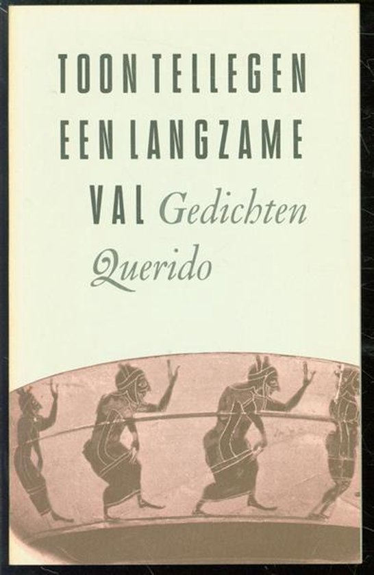 Omslag van Een langzame val door Toon Tellegen