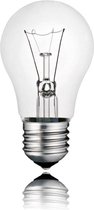 Philips Gloeilamp met grote E27 fitting - 60W - Dimbaar - Warm wit licht - 1 Gloeilamp