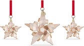 Swarovski Festive Jaarlijkse Editie 2021 Ornament Set 5597133