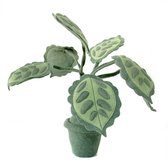 Vilten plant Pesa, twee-kleurig, decoratief vilten object, multi-inzetbaar