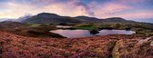 Celtic Tree- Canvas schilderij - Cregennen Lake - 50x130cm - Wanddeco - Premium Canvas - Wales - Meren - Heuvels - Natuur - Landschap - Bruin - Blauw