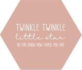 Muurhexagon twinkle twinkel zalm Dibond - Aanbevolen / 24 x 20 cm