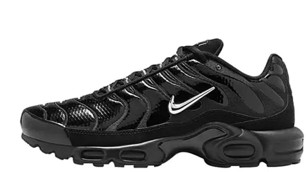 Nike Air Max Plus Black Chrome - Maat 47