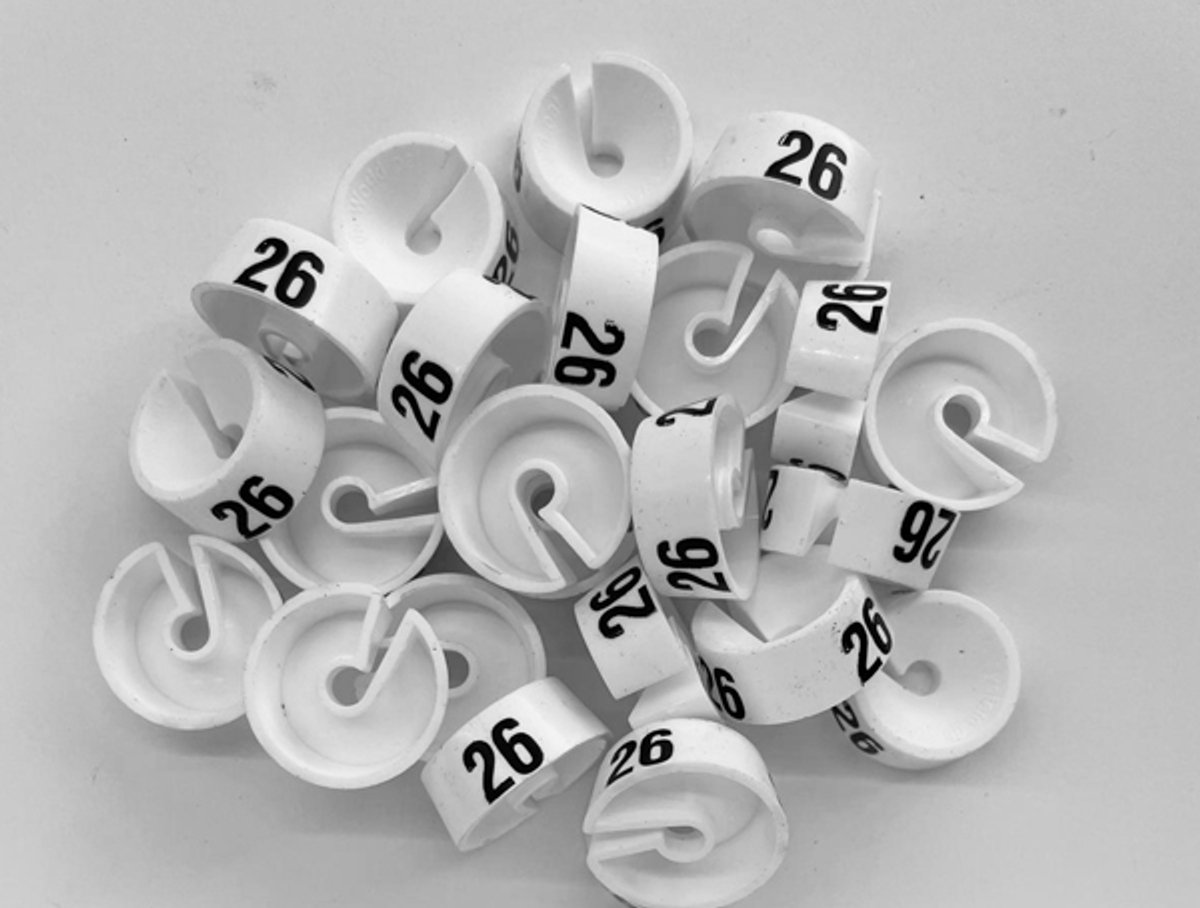 Bleijenberg Maatdopje maat 26 wit - Maataanduiding voor kledinghangers per 25 stuks - Maatringetje Ø 20 mm - Kledinghangers - Kleerhanger - Kapstok - Mark-Brics - wisersizer
