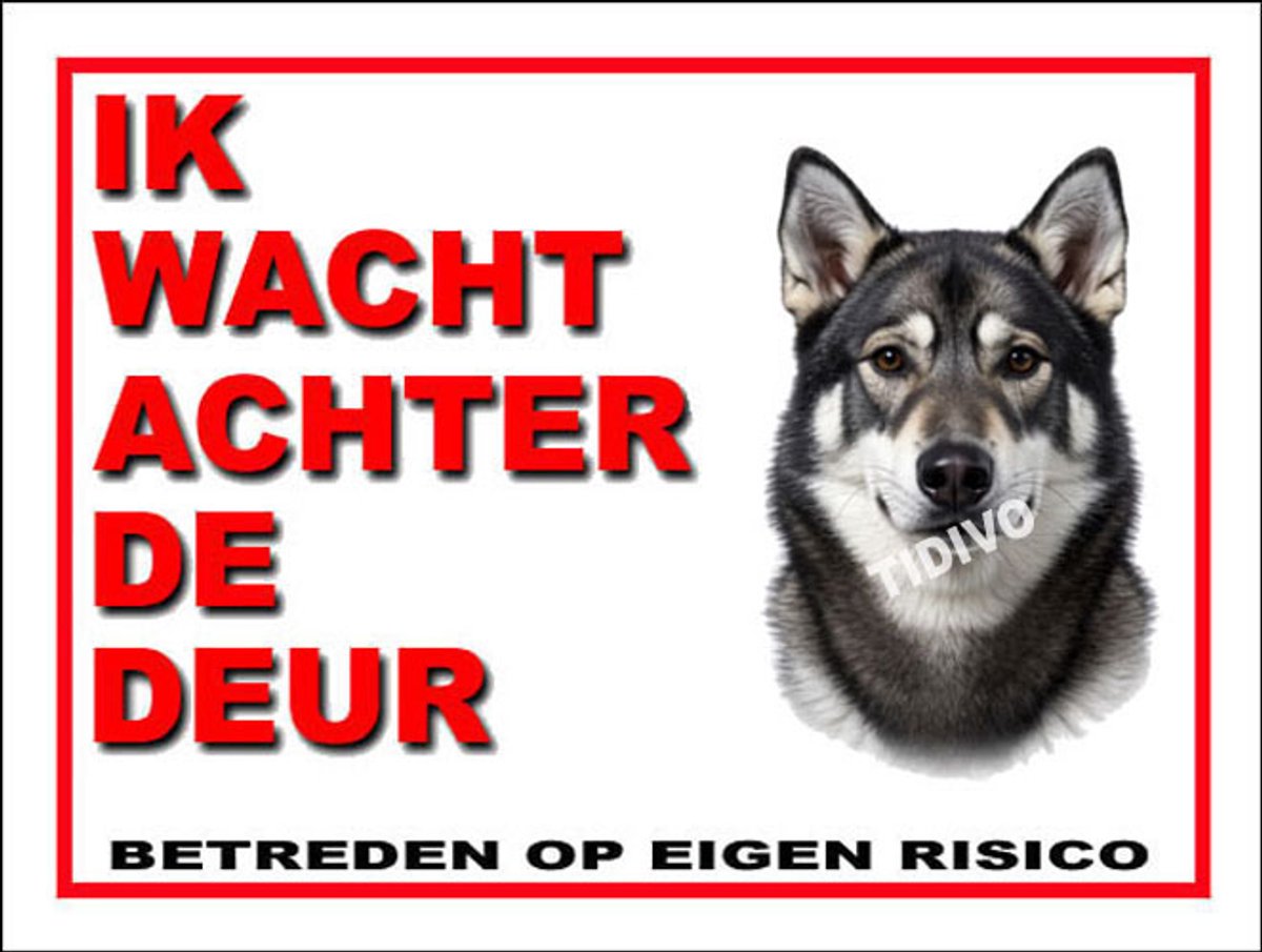 Jämthund 10