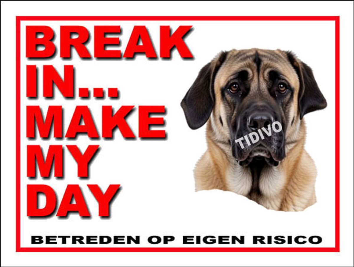 Kangal Köpek 1