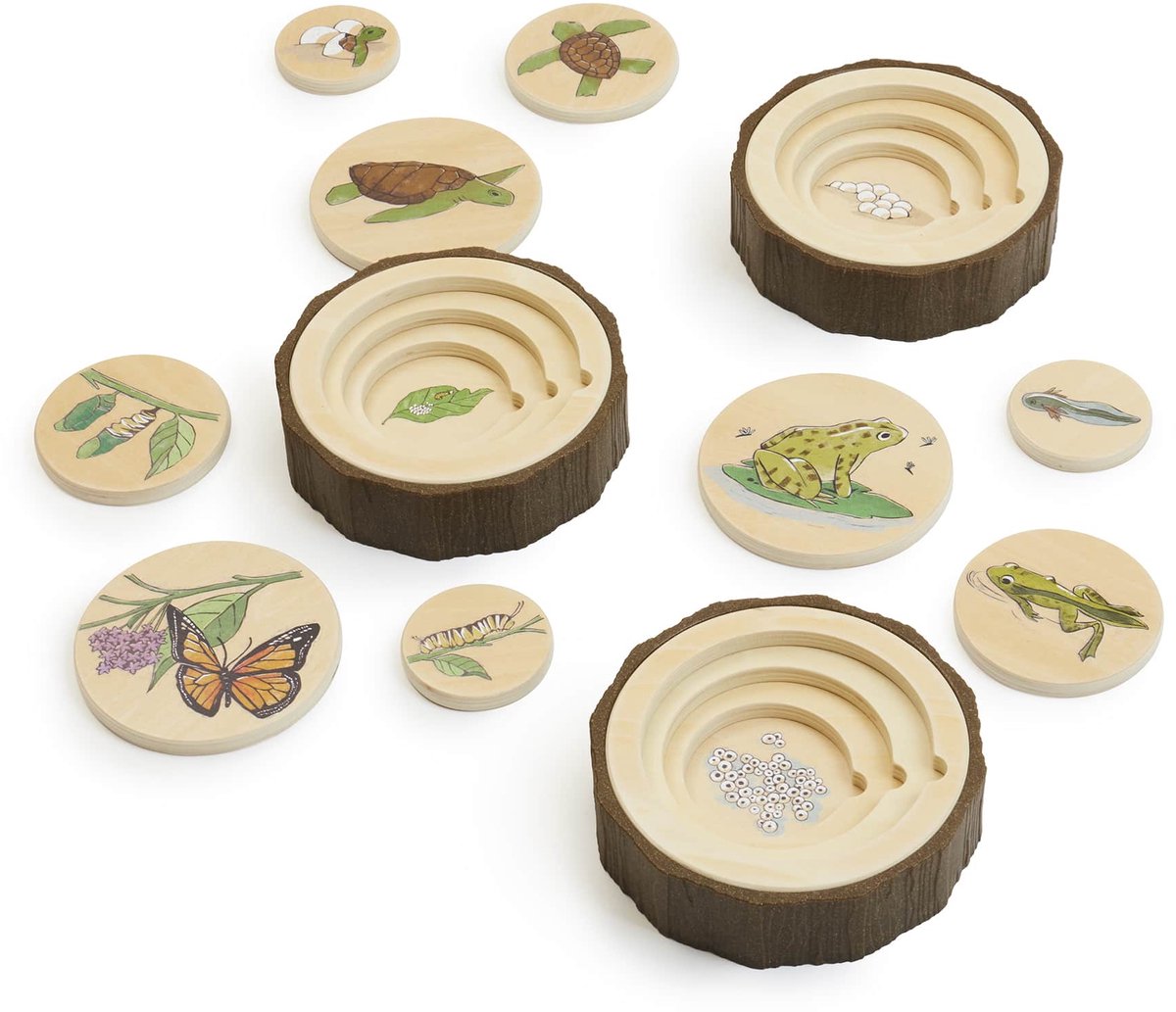 Guidecraft levenscyclus puzzel set - educatief speelgoed voor kinderen.