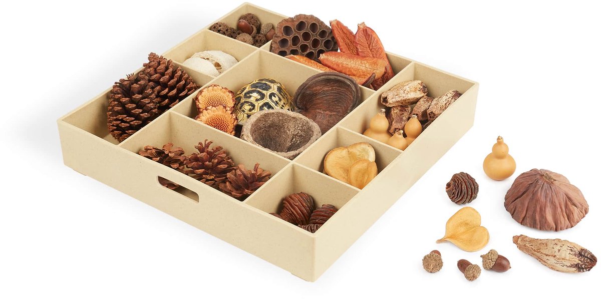 Guidecraft educatief speelgoed Nature's Geometry Loose Parts STEM Kit.