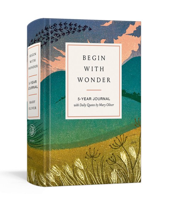 Begin with Wonder - cover
