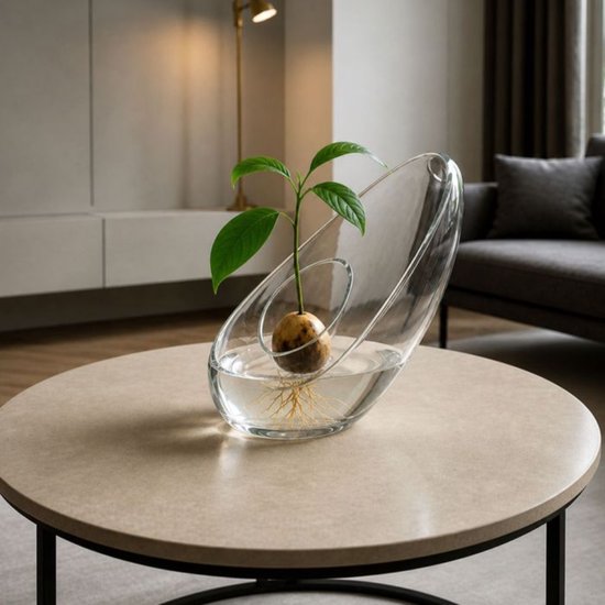 MikaMax Avocado Vaas - Glazen Design Kweekvaas voor Avocado Pit - Groeien zonder Aarde - Stijlvolle Decoratie