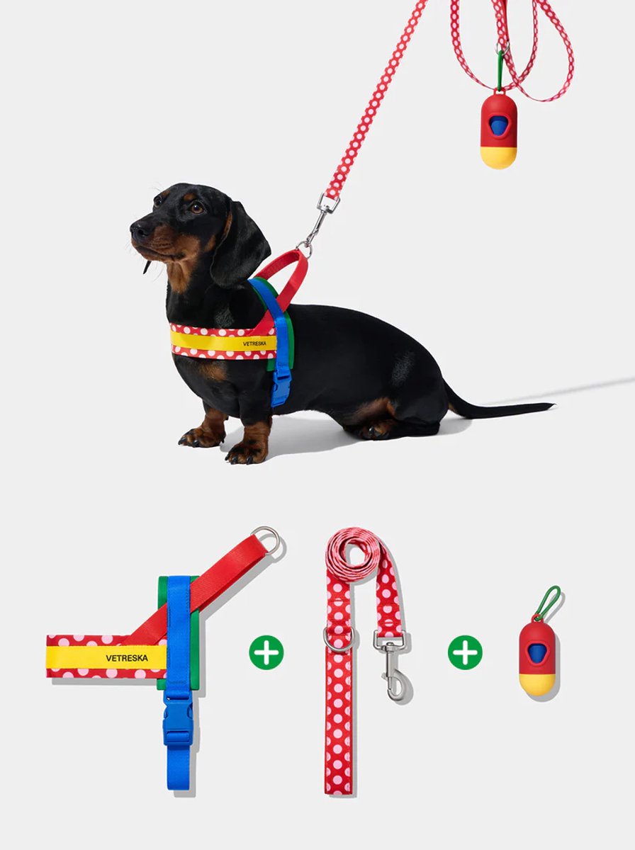 Vetreska - Wandelset voor huisdieren (M) + Poop Bags & Dispenser set - Gedurfd design