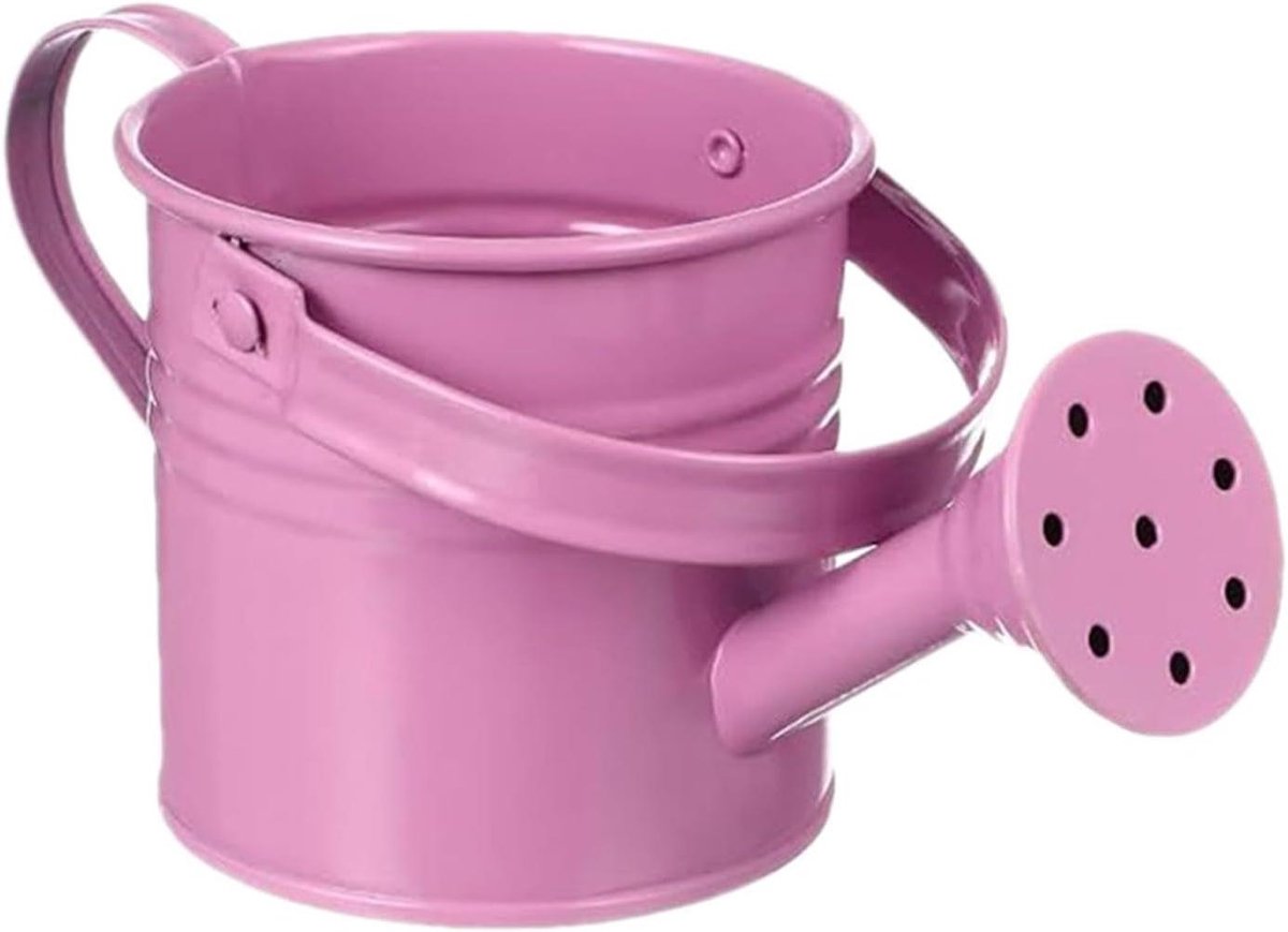Tuingieter - Waterplanten Bak - Planten Verzorgen - Roestbestendige Constructie - 8 x 8 x 8 cm - Roze