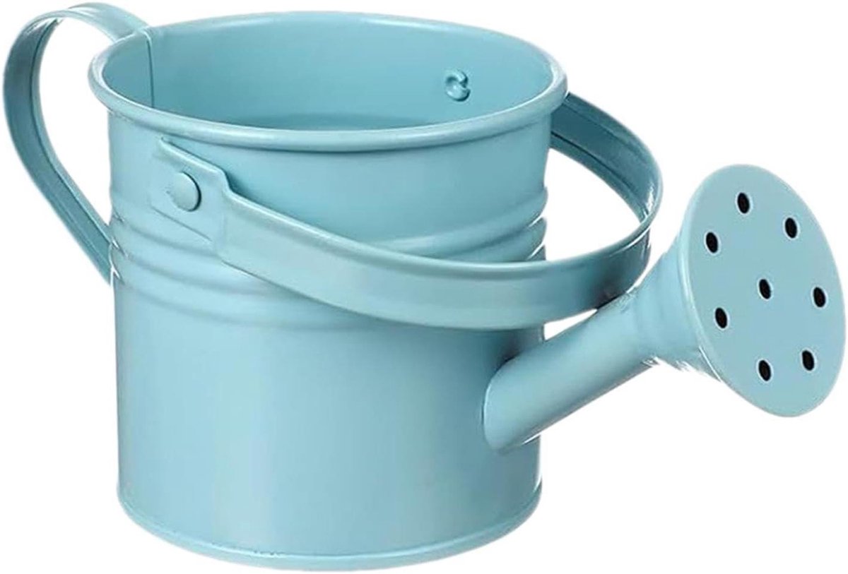Gieter voor planten,Decoratieve Tuingieter Met Handvat,Gegalvaniseerde Gieter bij Planten en Bloemen | voor terras, de achtertuin, familie, vrienden, buren, ouderen, tuiniers en kinderen