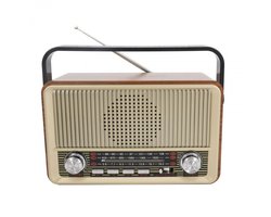 Vintage Draagbare Radio - Retro AM/FM/SW Radio met Bluetooth - 1800 mAh Oplaadbare Batterij - Draagbare Werksite en Camping Radio met USB, TF en AUX - Grote Knoppen voor Senioren - Goud