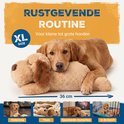 Grote hond ligt te rusten op een beige hondenkussen. Tekst: 'Rustgevende routine'. Afmeting 36cm.