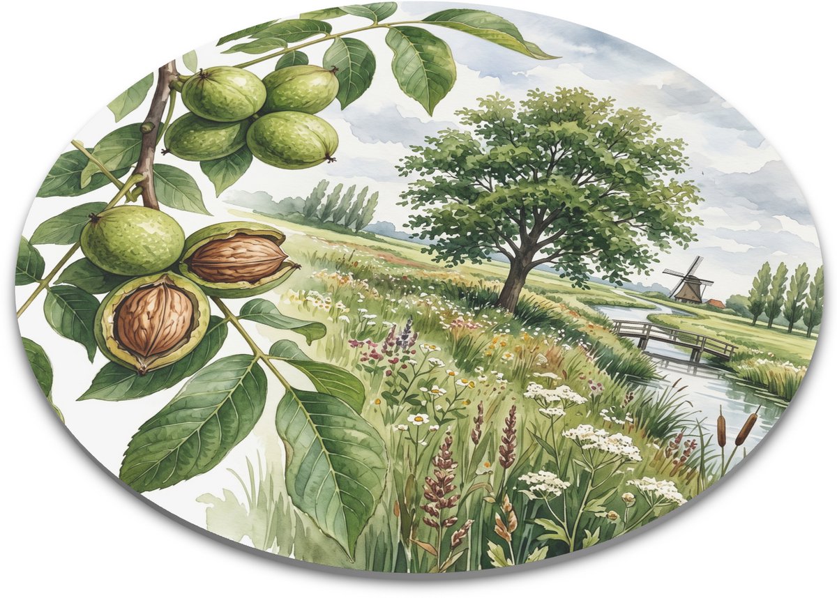 Ronde Muismat - Walnoot Juglans regia in Polderlandschap - Aquarel Illustratie Walnotenboom - Botanisch Landschap Windmolen - Cadeau Natuurliefhebber - Diameter 22 cm