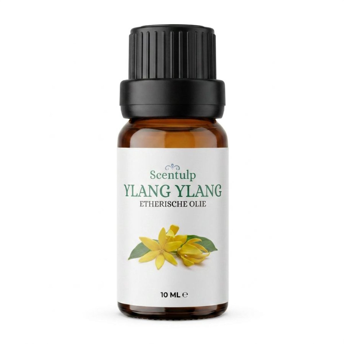 Scentulp - Ylang Ylang Olie Etherische Olie 10 ml – Biologisch & Natuurzuiver – Cananga odorata – Bloemig, Exotisch & Romig Aroma