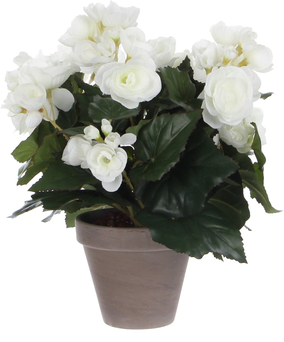 Mica Decorations Kunstplant mica begonia wit in pot stan grijs | 6 stuks