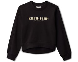 Calvin Klein Sweatshirt Glitter Aw Cn - Fashion Wear - Kinderen