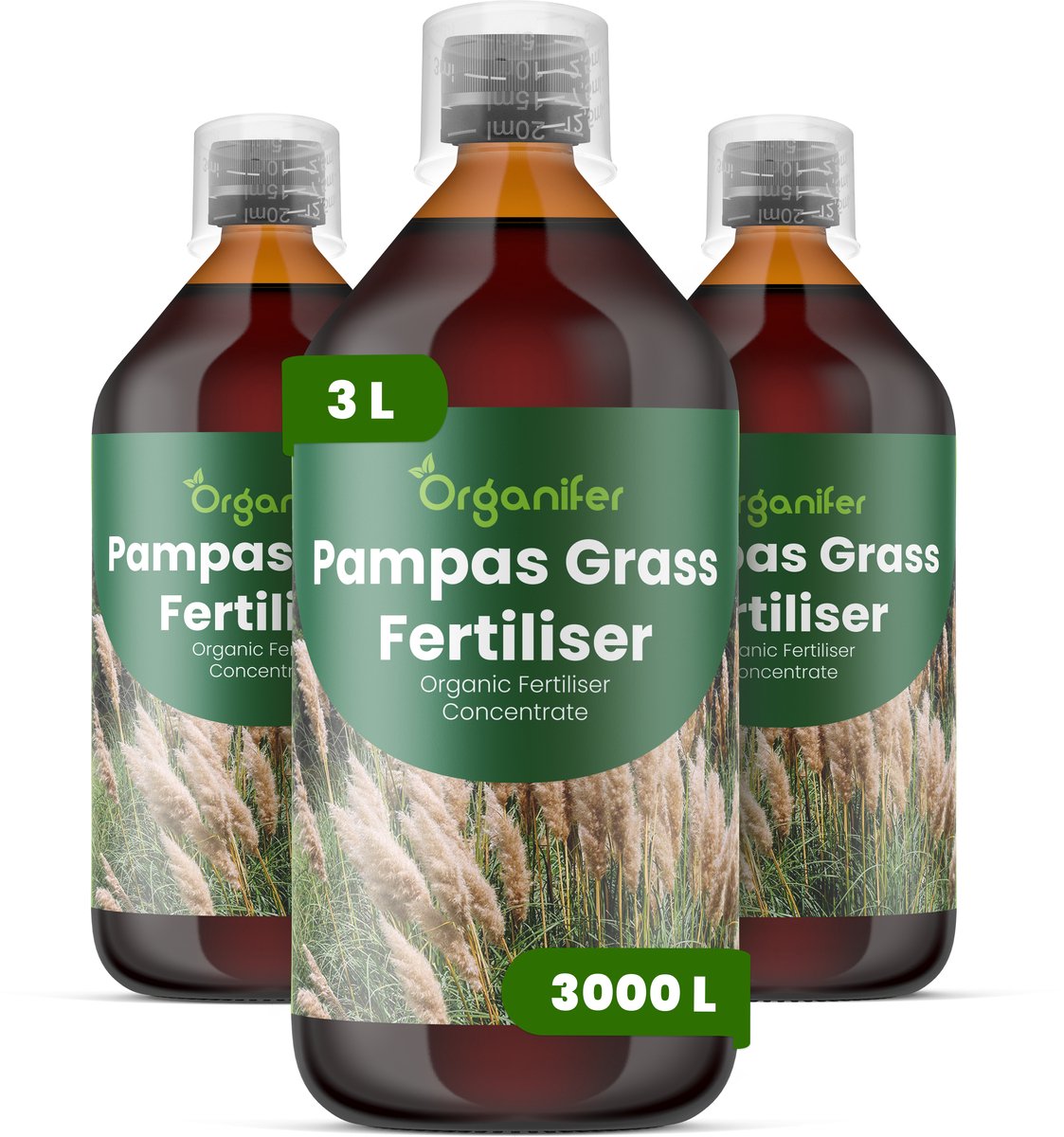Vloeibare Meststof Voor Pampasgras 3X1 L Voor 3000 L - Npk 2-1-8 - Vergroot De Pluimgrootte - Dichtheid En De Seizoensgebonden Bloei-Impact - Versterkt Stengels Voor Hoge - Rechtopstaande Groei Bij Winderige Omstandigheden - Organifer