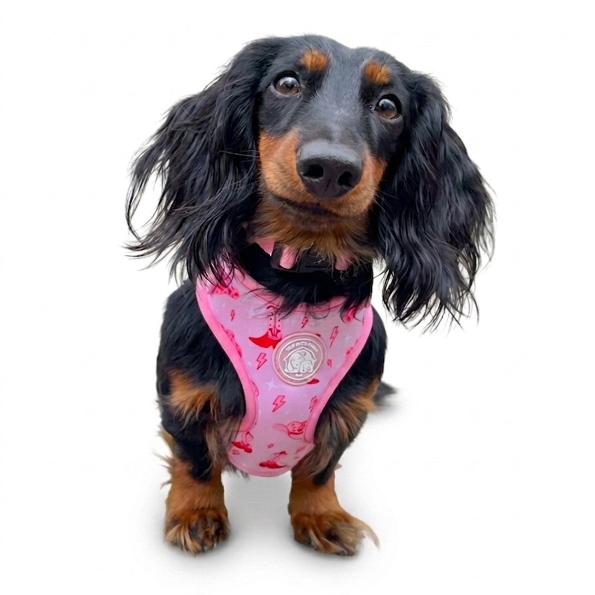 Hondentuigje - Hondenharnas - Y Tuig Hond - Roze - Cowgirl Print - Maat XXS - Kleine hond - The Dog Farm