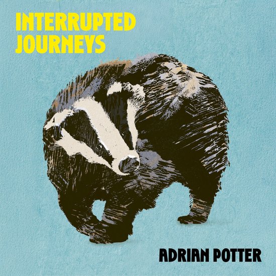 Interrupted Journeys - cover