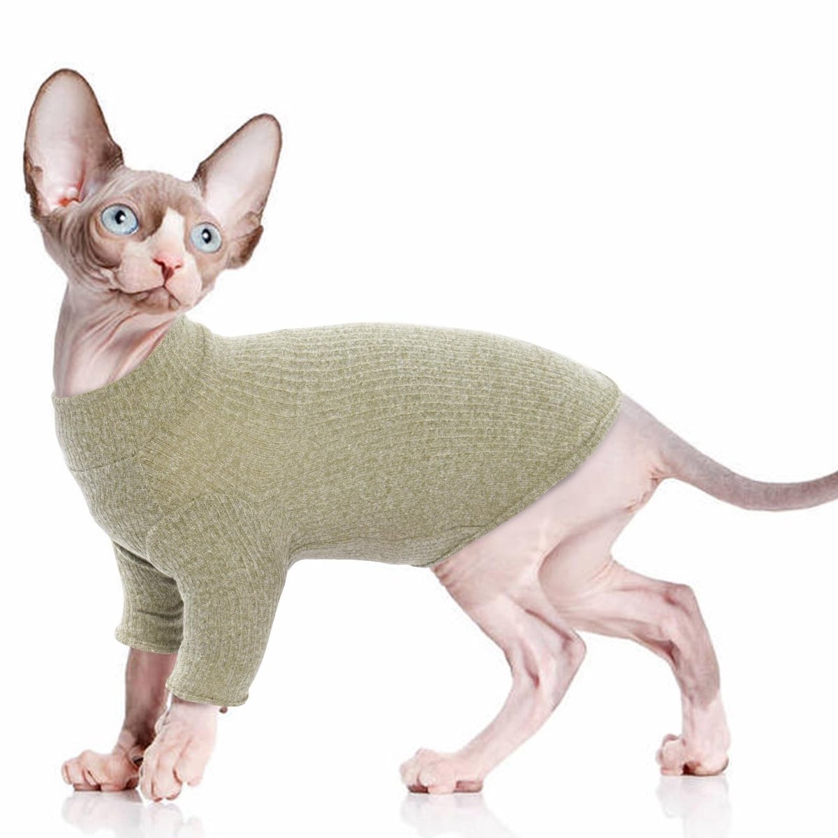 Elzusha - Lichtgewicht katten jumpsuit - Hersteltrui voor katten - Groen - Kattenkleding - Bescherming voor gevoelige huid - Geschikt voor grote en...