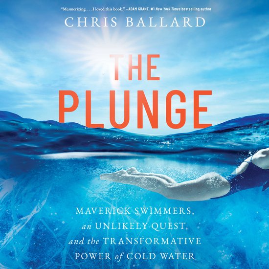 The Plunge - cover