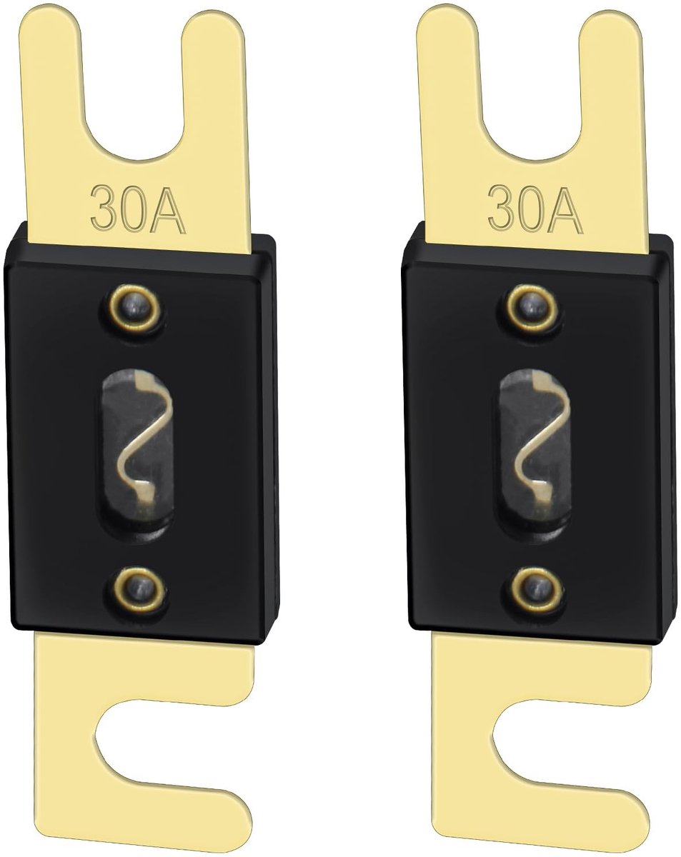 Dailygoods Fuse - 30 Amp - Betrouwbaar voor Auto Audio Systemen - Goud en Zwart - 2 Pack - Ideaal voor Car Audio Installatie - Perfecte Fuse voor...