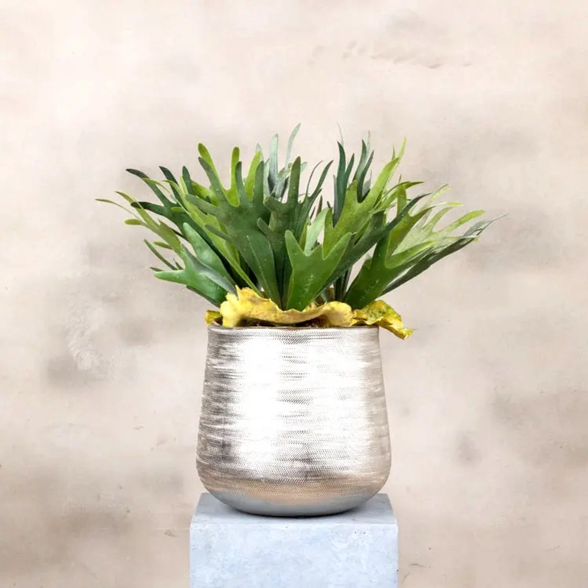 Kunstplant | Hertshoorn | 45 cm