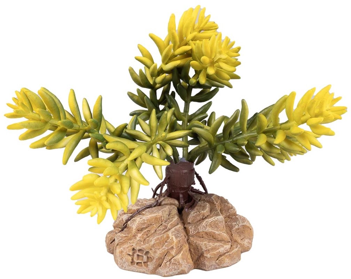 Terra Della Woestijnplant Sedum morganianum groen | natuurgetrouwe terrarium kunstplant van kunststof