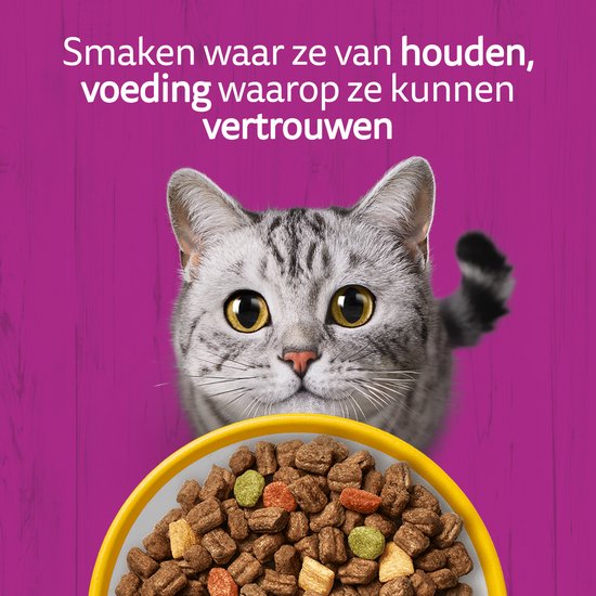 Een kat met grote gele ogen kijkt naar een kom met gemengd kattenvoer in verschillende kleuren.