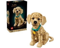LEGO® Icons Golden Retriever Puppy - Decoratieve Dierenfiguur - Bouwset voor Volwassenen - 11384
