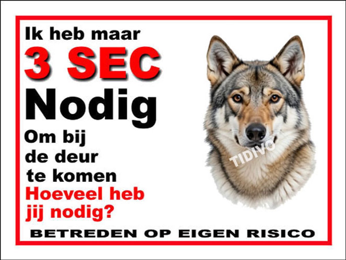 Saarlooswolfhond 6