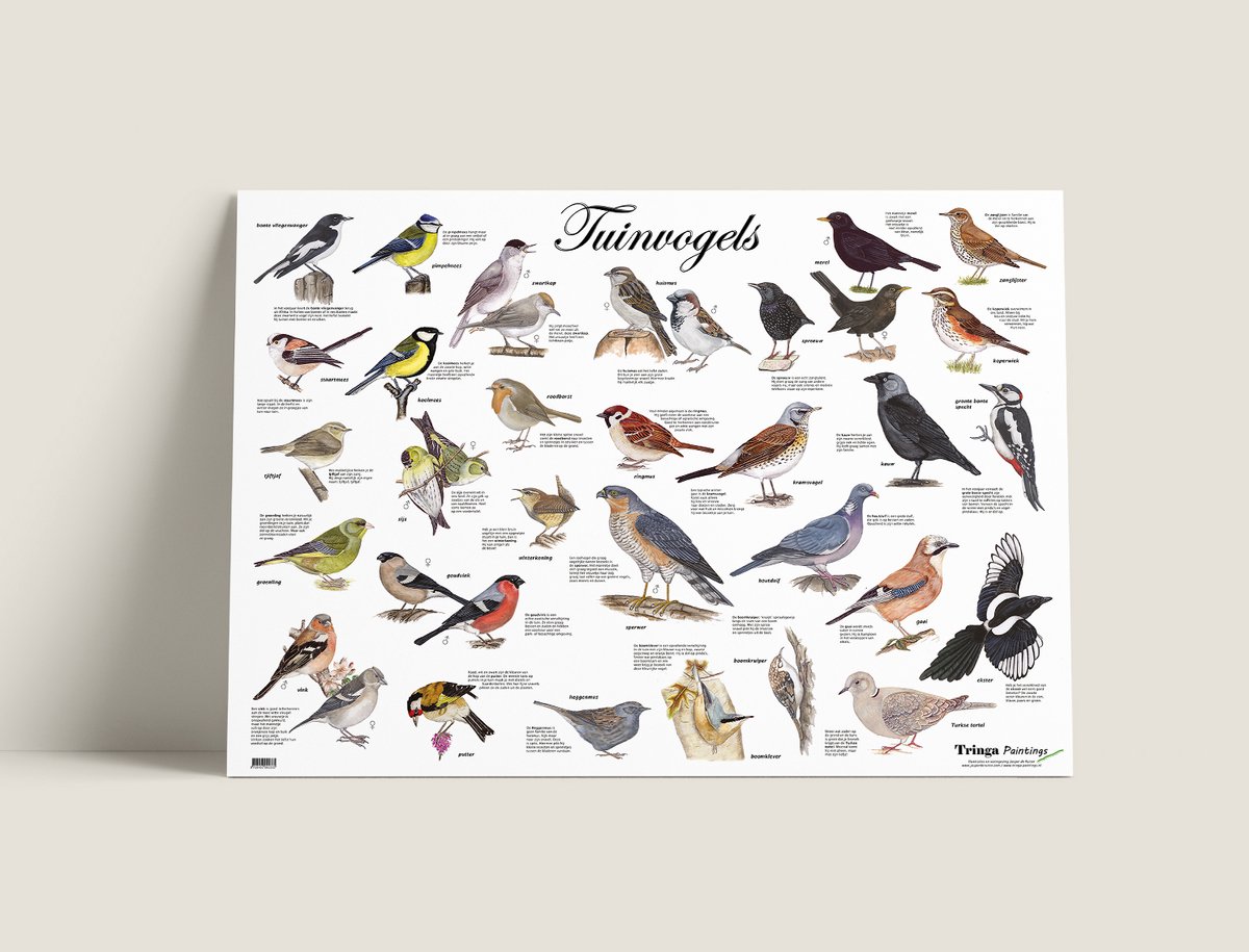 Tuinvogelposter