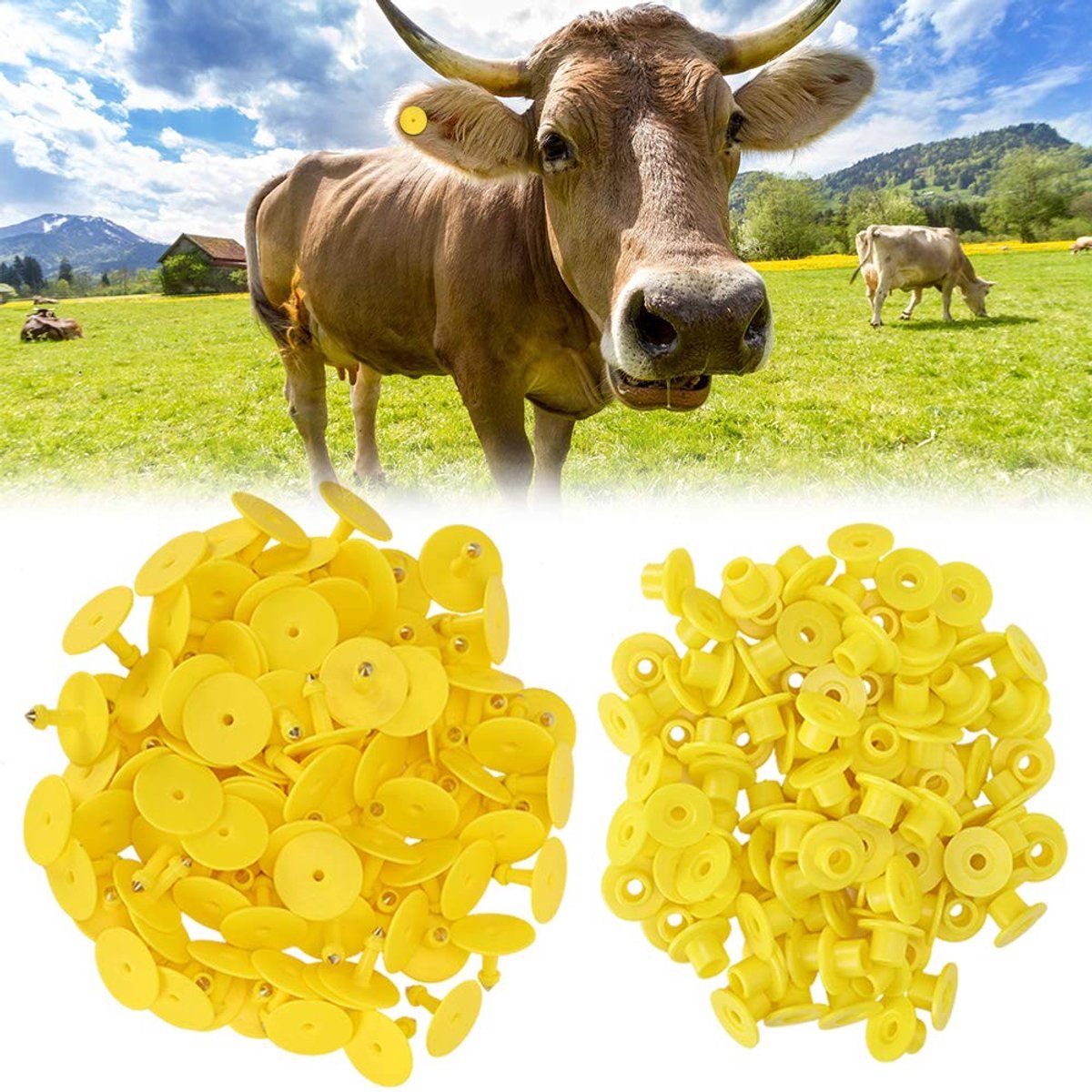 Dailygoods - Dierenidentificatiekaart Oorvee 100 Stuks Geel