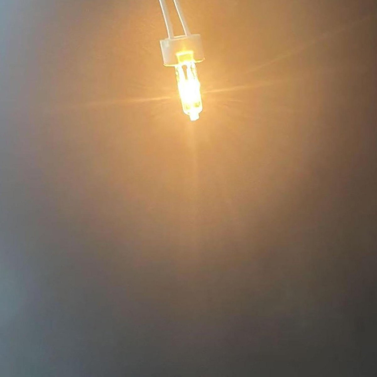 Halogeenlamp G5.3 - Vervanglamp - Sfeerverlichting - Warm wit licht - 100 watt - Transparant