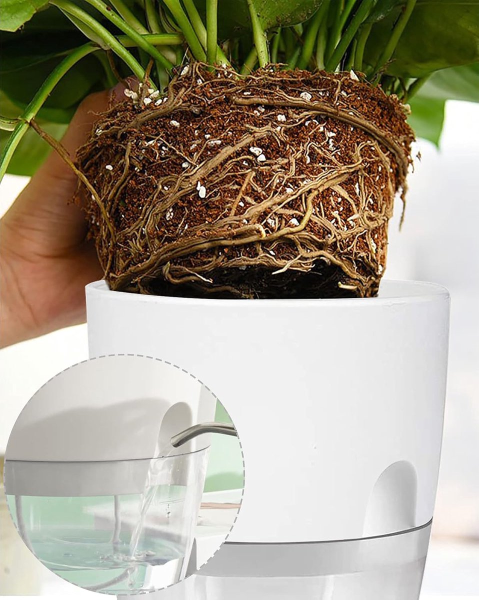 Zelfwaterende Kruidenpotjes Set van 3 – Kruidenpot met Waterreservoir – bloempot - Bloempot voor Keuken, Vensterbank en Balkon – Moderne Zelfbewaterende Plantenpot voor Binnen — cadeau in Kookcadeaus - foto 8