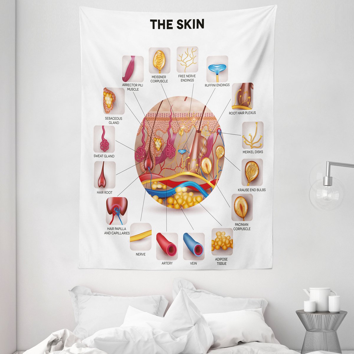 ABAKUHAUS Educatief Tapijt, Huidanatomie Aderen, Woonkamer Slaapkamer Wanddoek Zijdezacht Satijn Tapijt, 150 x 200 cm, Meerkleurig
