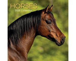 Paarden Kalender 2026