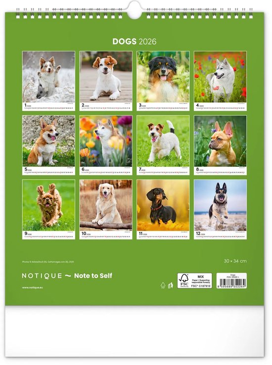 Dohe - Kalender 2026, weekoverzicht, zakformaat (8,5 x 13 cm), flexibel