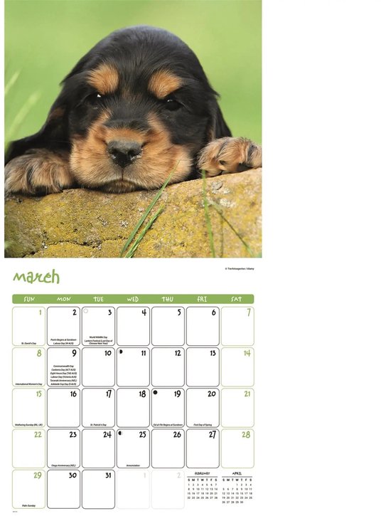 Puppies Kalender 2026