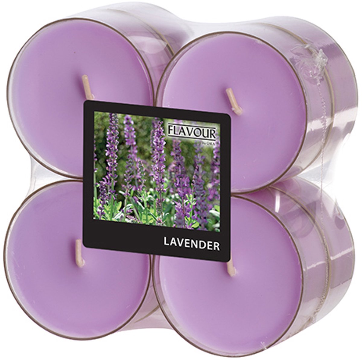 6x 8 GALA Maxi geurtheelichten Ø 59 mm · 24 mm violet - Lavendel in behuizing van polycarbonaat