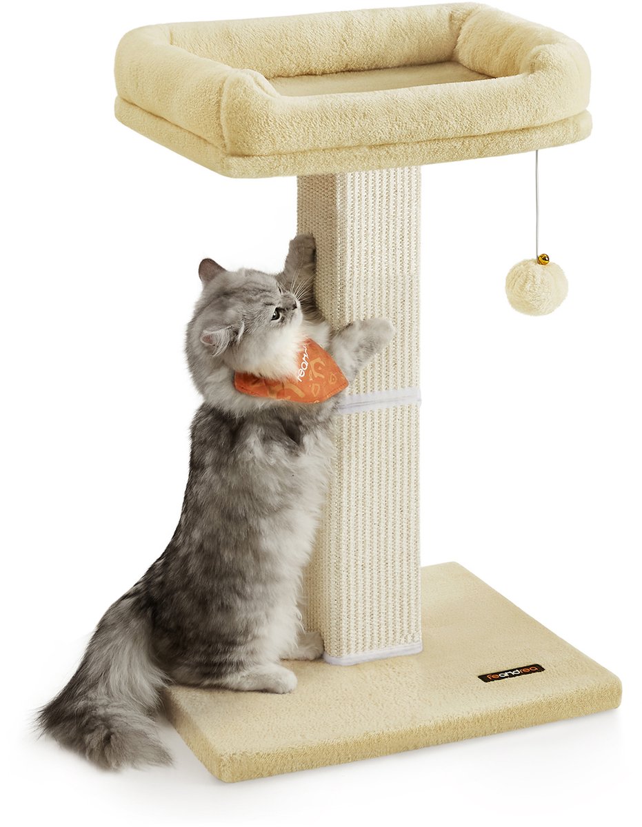 Feandrea - Krabpaal - Kattenboom - Voor Katten - Pluche Platform - Krabzuil met Speelbal