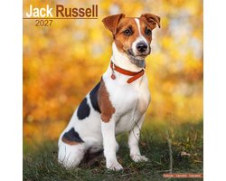 Jack Russell Terrier Kalender 2027